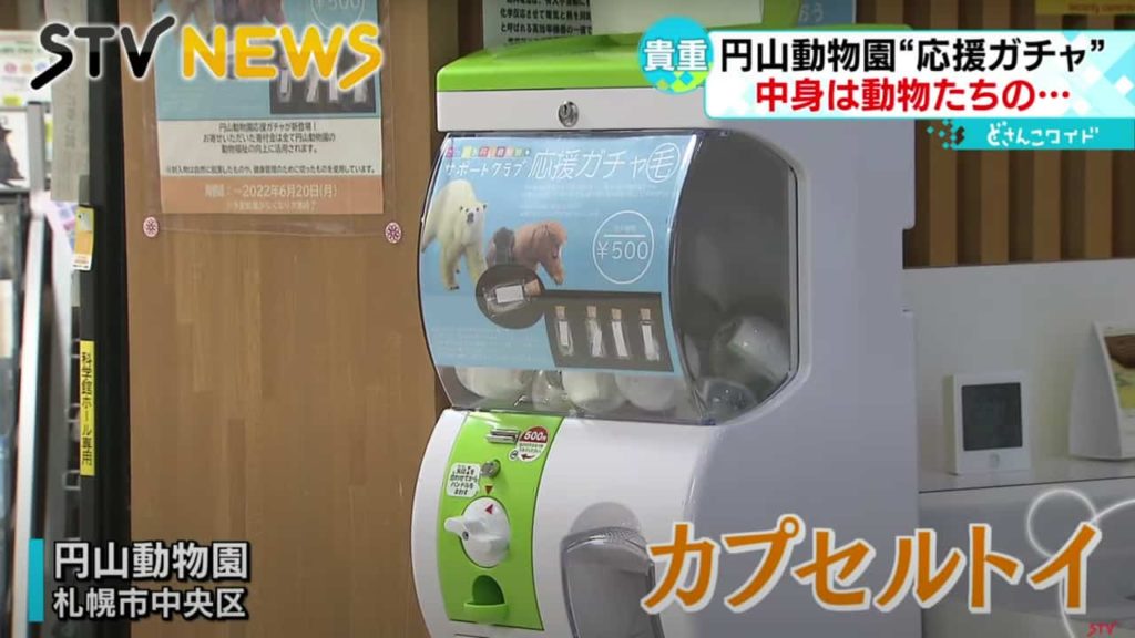 北海道動物園推動Gacha 500日元可以得到稀有的動物毛皮