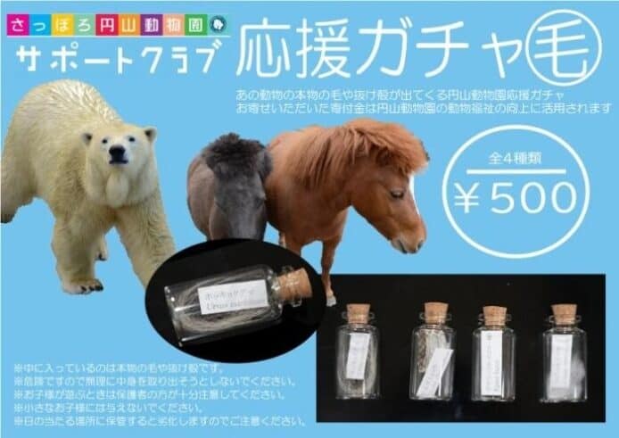 北海道動物園推動Gacha 500日元可以得到稀有的動物毛皮